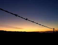 Linciln Fence Sunset 2